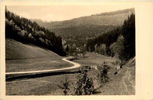 Schönbrunn, Thür. Wald, im schönen Tannengrund