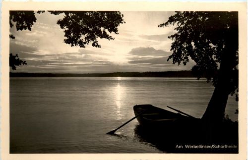 Am Werbellin-See/Schorfheide