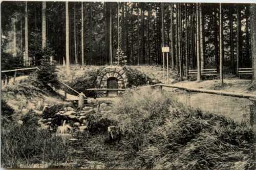 Partie im Grillenburger Wald, Warnsdorfer Quelle