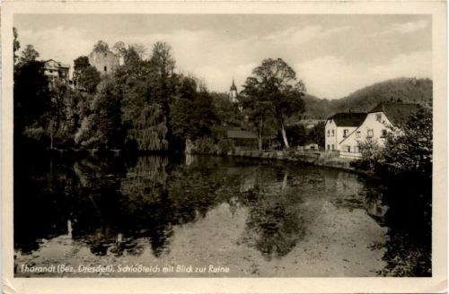 Tharandt, Schlossteich mit Blick zur Ruine