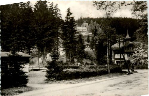 Waldbärenburg