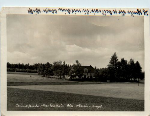 Ober-Nessau/Erzgeb., Altes Forsthaus