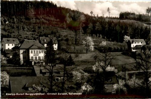 Bad Gottleuba-Berggiesshübel, Ortsteil Zwiesel, Teilansicht