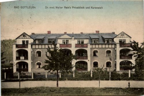 Bad Gottleuba, Dr. Walter Reis Privatklinik