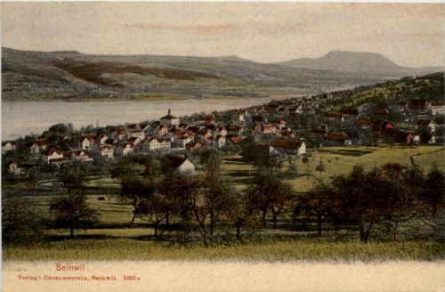 Beinwil