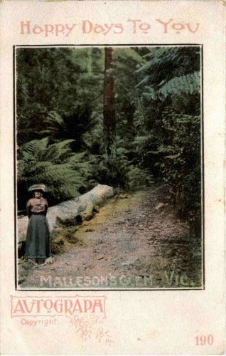 Victoria - Mallesons glen
