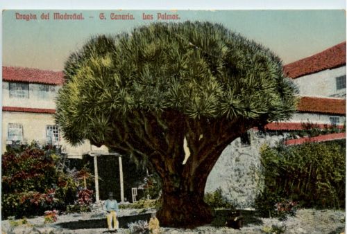 Gran Canaria - LAs Palmas