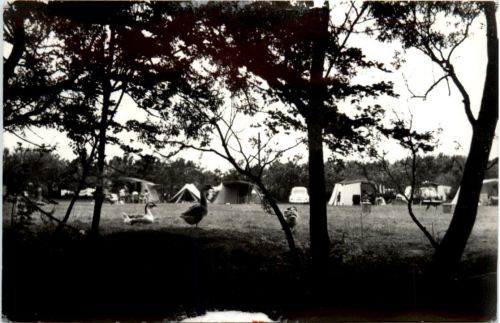 Renesse - Camping Wilhelminahoeve