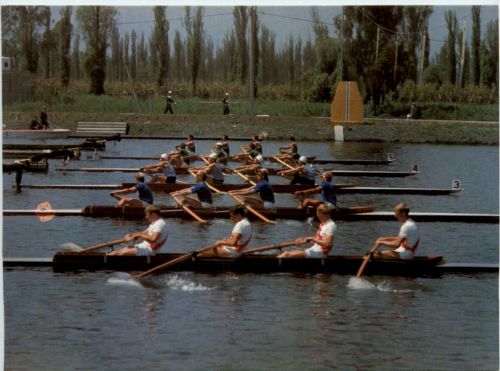 Rudern Vierer ohne Steuermann Mexiko 1968