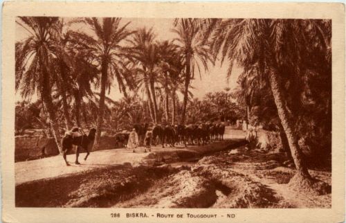 Biskra - Route de Touggourt