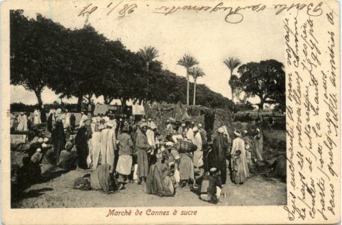 Egypt - Marche de Cannes a sucre