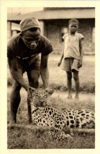 Congo Belge - Mission des RR PP Jesuites - Jagd