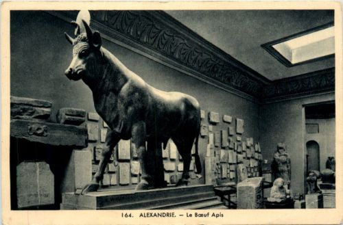 Alexandria - La Boeuf Apis
