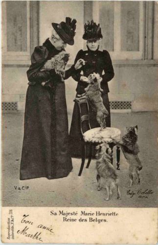 Marie Henriette - Reine des Belges