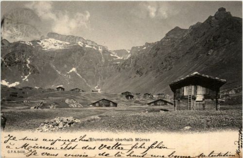 Blumenthal oberhalb Mürren