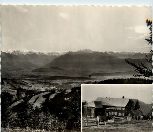 Wald - Alpwirtschaft Farner