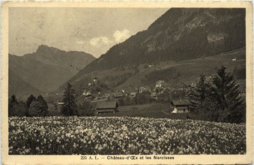 Chateau d Oex