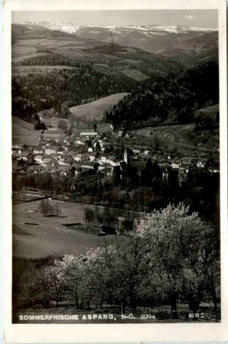 Sommerfrische Aspang