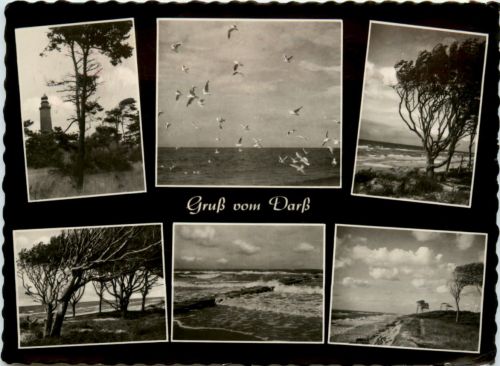 Gruss vom Darss, div. Bilder