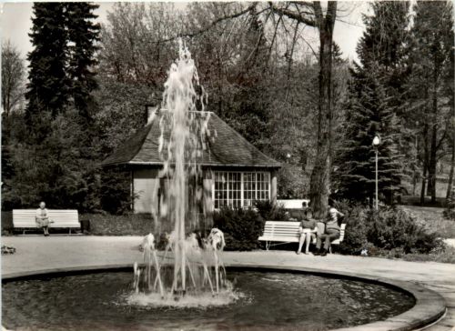Bad Brambach, Schillerquelle