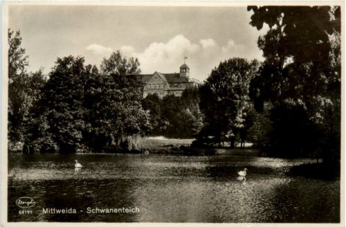 Mittweida, Schwanenteich