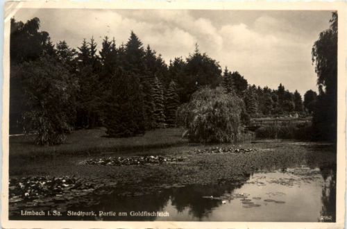 Limbach i.Sa., Stadtpark, Partie am Goldfischteich