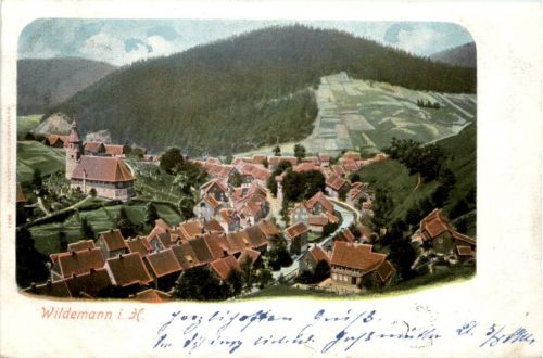 Wildemann i.H.