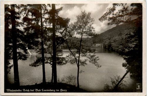 Wiessenbeker Teich bei Bad Lauterberg im Harz