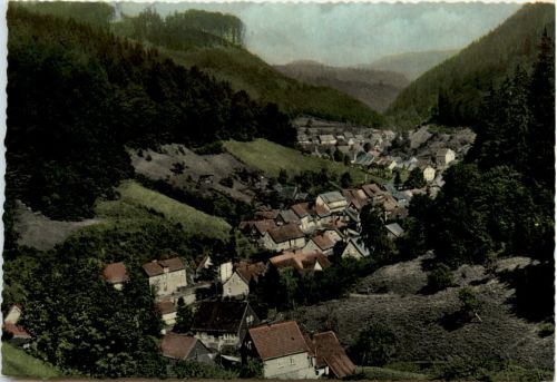 Zorge Südharz, Blick aus dem Elsbachtal auf Mittelzorge