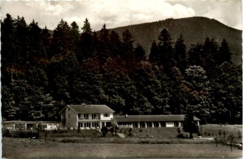 Zwiesel, Hotel Schachter Zwieselwaldhaus