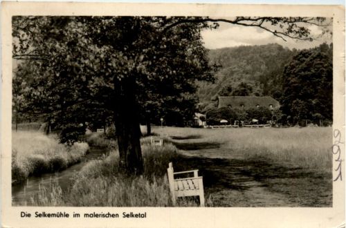 Die Selkemühle im malerischen Selketal