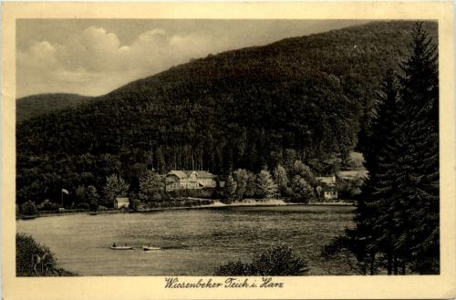 Wiesenbeker Teich i. Harz