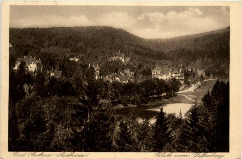 Bad Sachsa, Blick vom Pfaffenberg