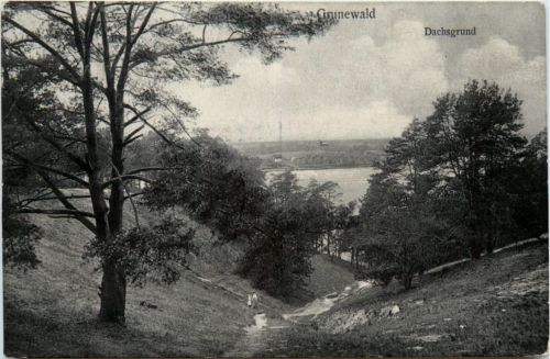 Grunewald, Dachsgrund