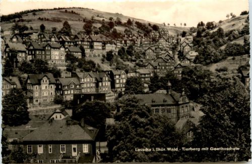 Lauscha, Tierberg mit Goetheschule