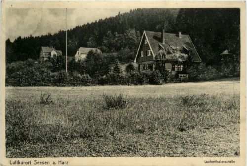 Kurort Seesen, Lautenthalerstrasse