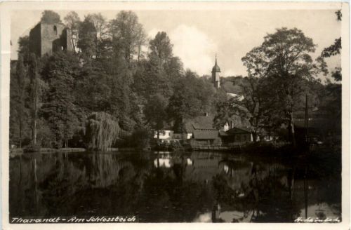 Tharandt, Am Schlossteich