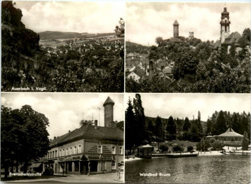 Auerbach i. V., div. Bilder