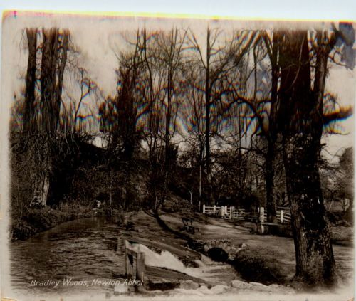 Newton Abbot - Bradley Woods
