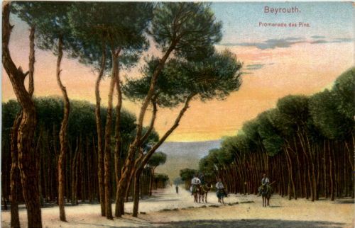 Beyrouth - Promenade des Pins