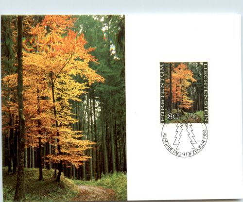 Fürstentum Liechtenstein - Maximumkarte - FDC