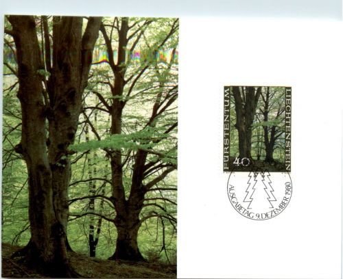 Fürstentum Liechtenstein - Maximumkarte - FDC