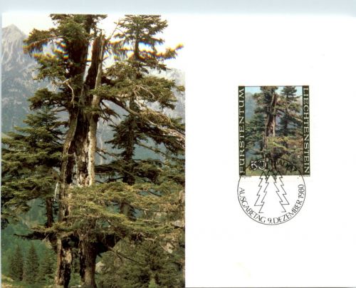 Fürstentum Liechtenstein - Maximumkarte - FDC