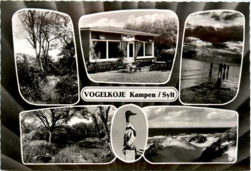 Vogelkoje Kampen Sylt