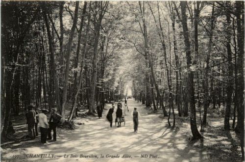 Chantilly - Le Bois Bourillon