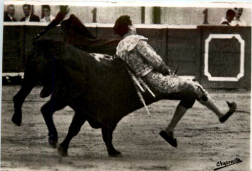 Cogida - Dangerous accident of the bullfighter