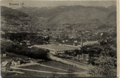 Münster Elsass