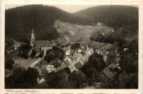 Wildemann im Oberharz