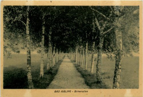 Bad Aibling, Birkenallee