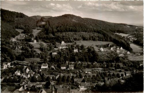 Bad Lauterberg im Harz, Villenviertel